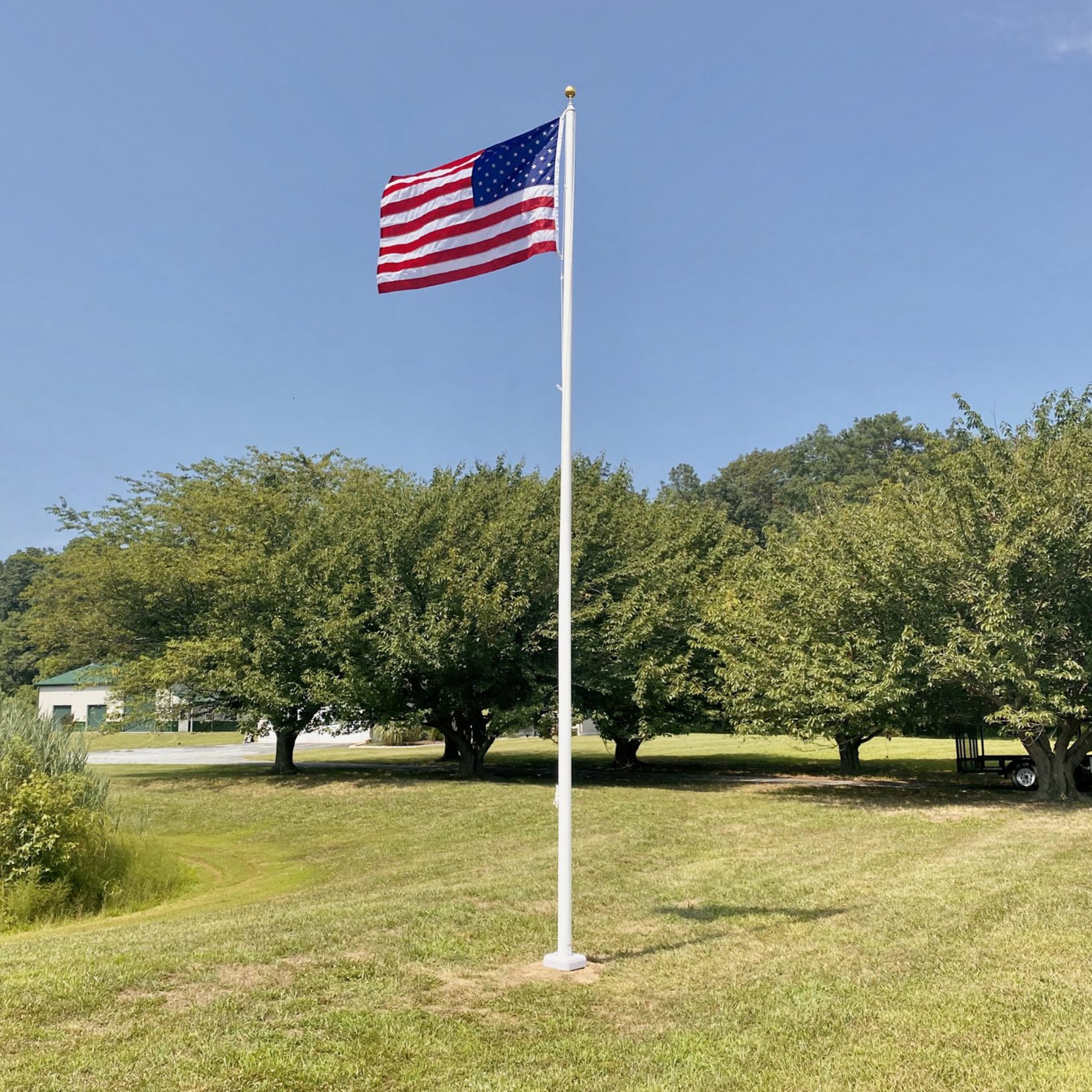 A colorful flag flutters in the grass, surrounded by the lush greenery of a peaceful park area