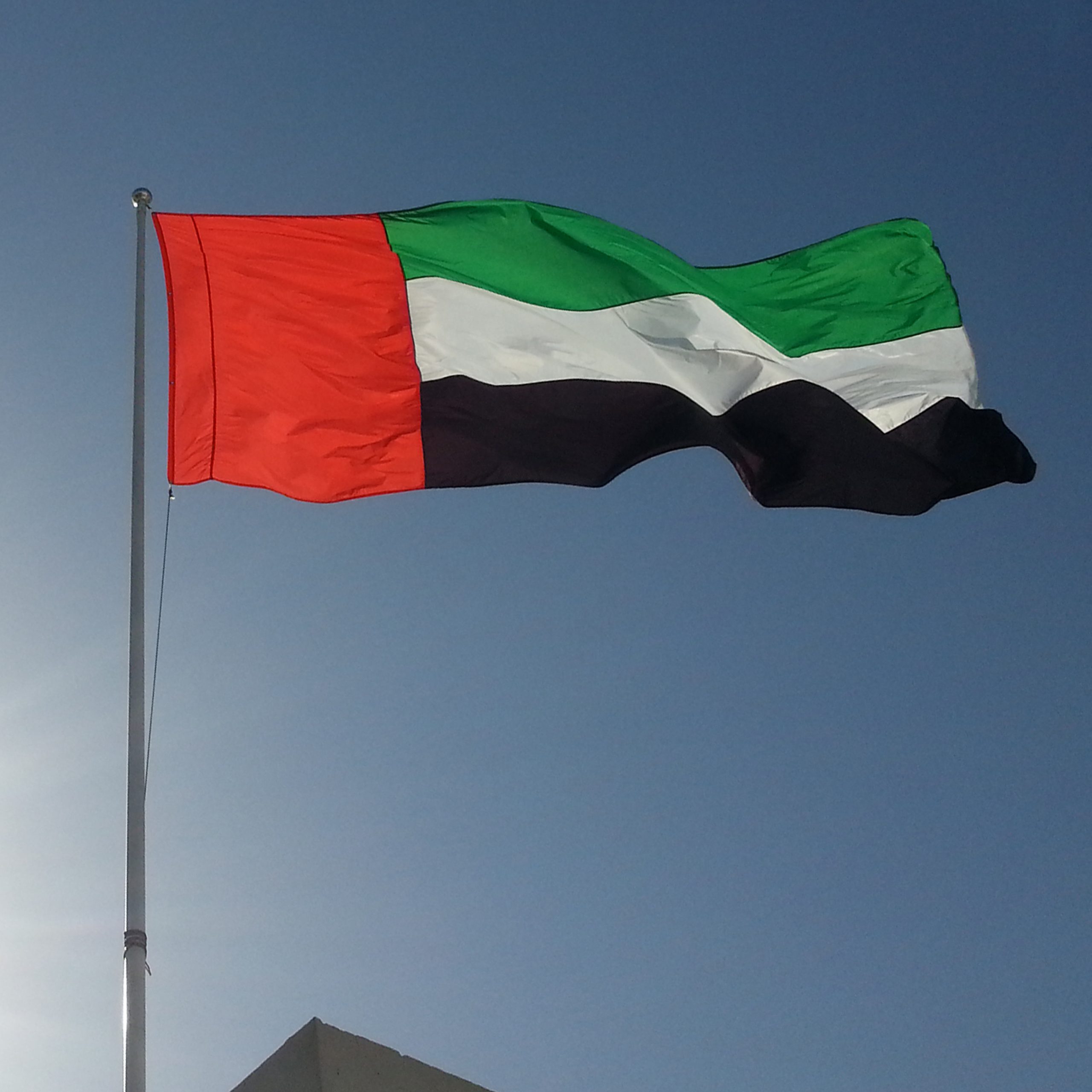 The UAE hosting flag proudly waves in front of a modern building